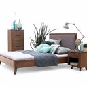 Telly Bed