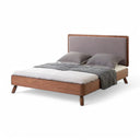 Telly Bed