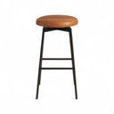 Auro Counter Stool