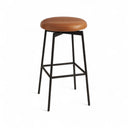 Auro Counter Stool